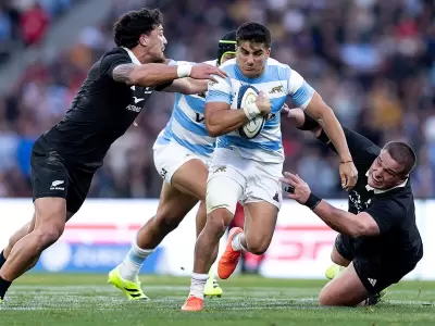 los pumas
