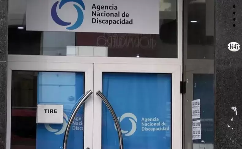 andis-discapacidad