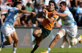 los pumas