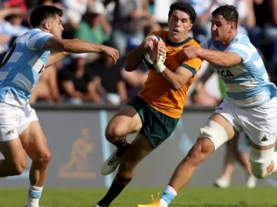 los pumas