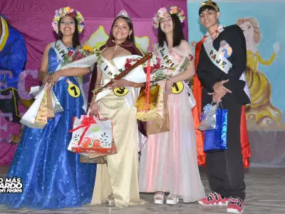 bachi 15