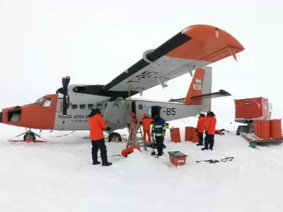 operaci�n polar