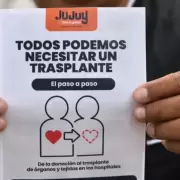 M�s de 100 juje�os esperan un trasplante: los n�meros actualizados del Incucai