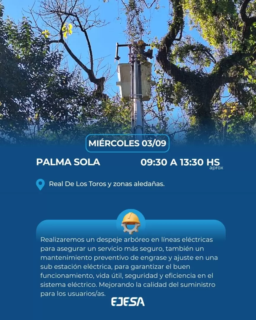 palma sola 03092025