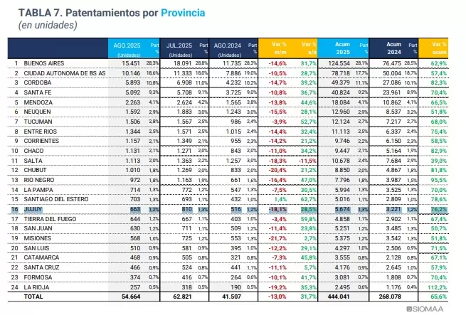 patentamiento agosto
