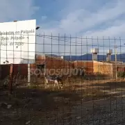 Denuncian que el IVUJ paraliz� y abandon� una obra de 70 viviendas en Palpal�