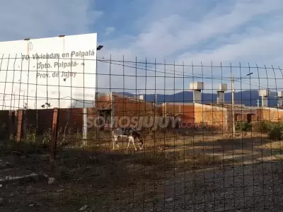 viviendas abandonadas IVUJ Palpal�