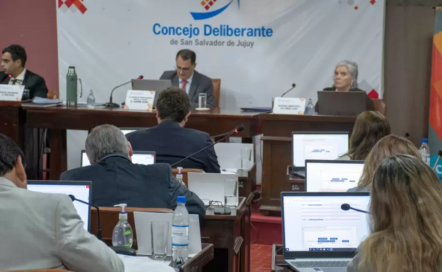 concejo deliberante