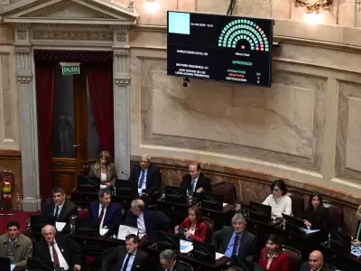 aprobacion discapacidad senado