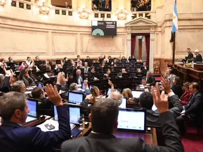 senado