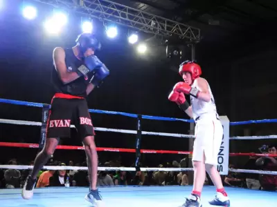 boxeo jujuy