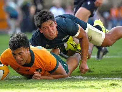 pumas