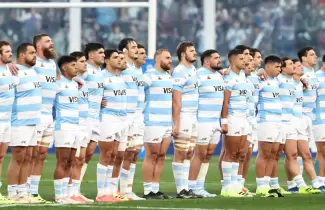 los pumas