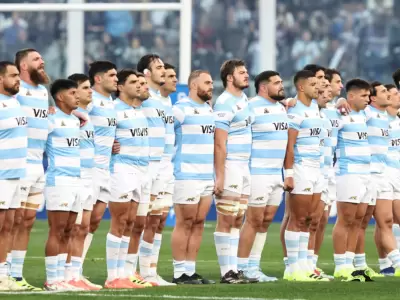 los pumas