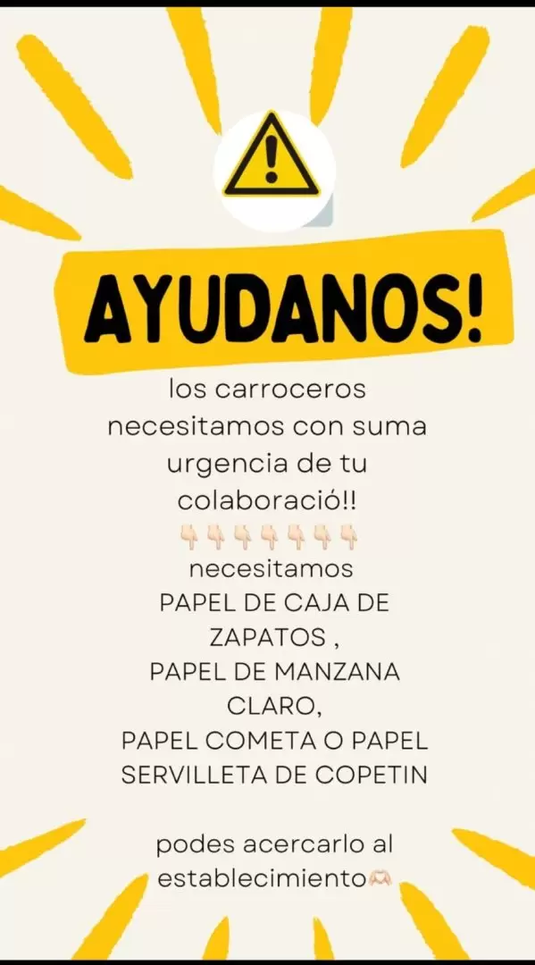 bachi 6 materiales