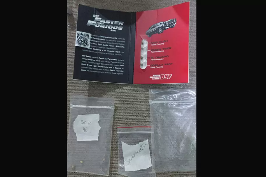 imputaron y dictaron prisi�n preventiva para dos implicados en el tr�fico de drogas sint�ticas desde cordoba a jujuy