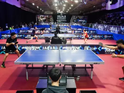 ping pong jadar