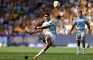 pumas