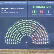 Duro revés para el Gobierno: diputados rechazaron los vetos de Milei al Garrahan y las universidades