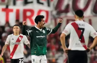 river palmeiras