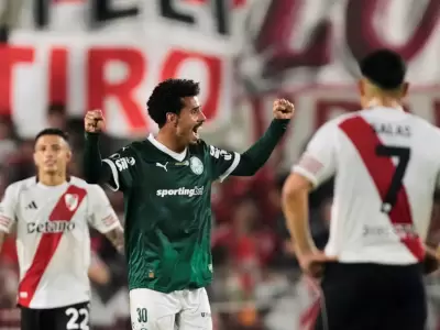 river palmeiras