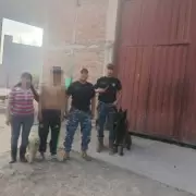 Un perro policía fue clave para encontrar y salvarle la vida a un joven con discapacidad en Perico