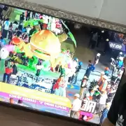 Mir� las fotos que compartiste en la transmisi�n de Canal 7 durante los tres desfiles de carrozas y carruajes