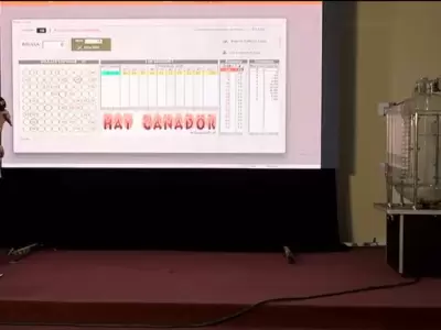 ganadores bingo lobo