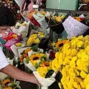 Flores amarillas: ¿cuándo se regalan, el 21 de marzo o 21 de septiembre?