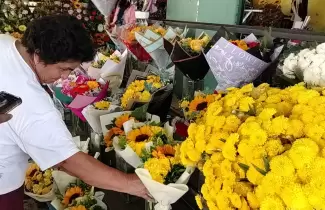 flores amarillas