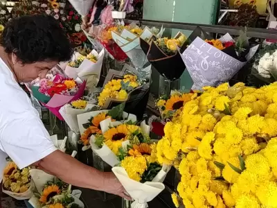flores amarillas