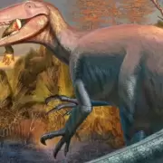 Científicos del Conicet descubrieron un dinosaurio carnívoro que habría sido de los últimos en extinguirse