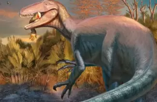 Cient�ficos del conicet descubrieron un dinosaurio carn�voro