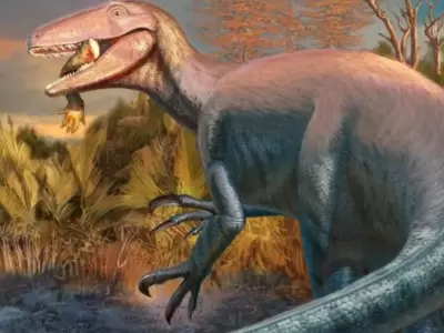 Cient�ficos del conicet descubrieron un dinosaurio carn�voro