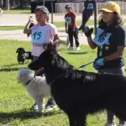 La Quiaca realizará un "Perrotón" con el fin de ayudar a un refugio de mascotas