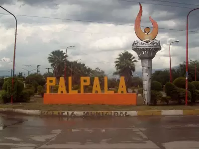 Palpal�