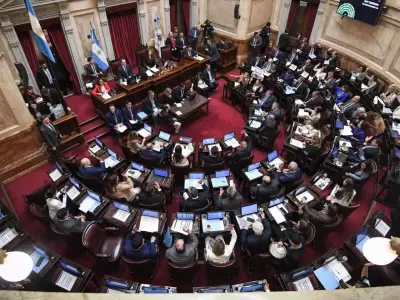 senado