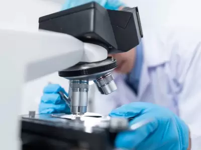 microscopio