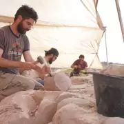 Paleontólogos del Conicet transmitirán en vivo la búsqueda de fósiles de dinosaurios: cuándo es y dónde verlo