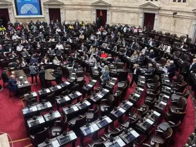diputados