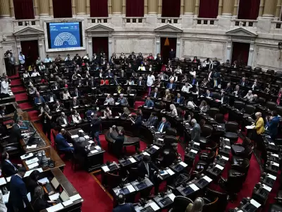 camara de diputados