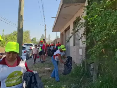 limpieza en alto comedero