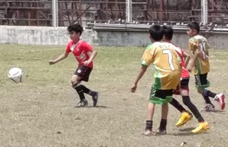 ledesma futbol infantil