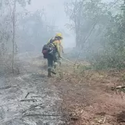 Brigadistas trabajaban para controlar los incendios forestales en Ledesma y Santa B�rbara