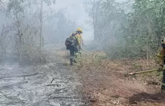 incendios forestales que afectan los departamentos de ledesma y santa b�rbara
