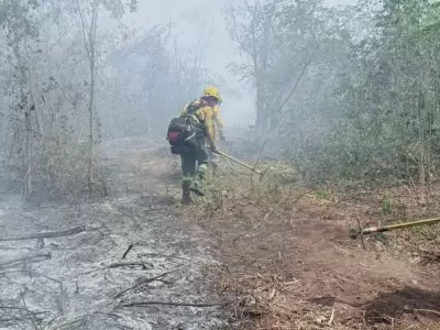 incendios forestales que afectan los departamentos de ledesma y santa b�rbara