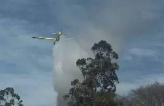 incendios forestales que afectan los departamentos de ledesma y santa b�rbara