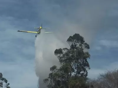 incendios forestales que afectan los departamentos de ledesma y santa b�rbara