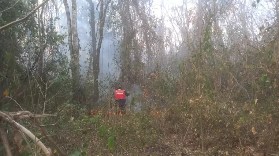 Incendios - Bomberos