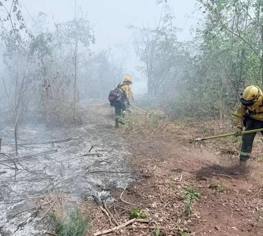 incendios ledesma